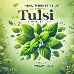 Health Benefits of Tulsi Leaves You Must Know